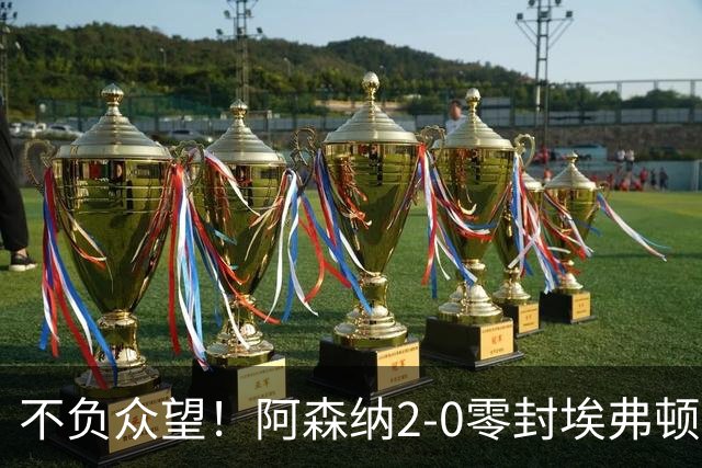 不负众望！阿森纳2-0零封埃弗顿豪取三连胜，积分强势追平曼城