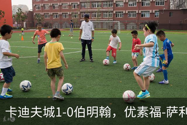 卡迪夫城1-0伯明翰，优素福-萨利赫一击制胜