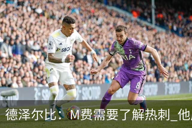 德泽尔比：M费需要了解热刺 他应该习惯承受压力