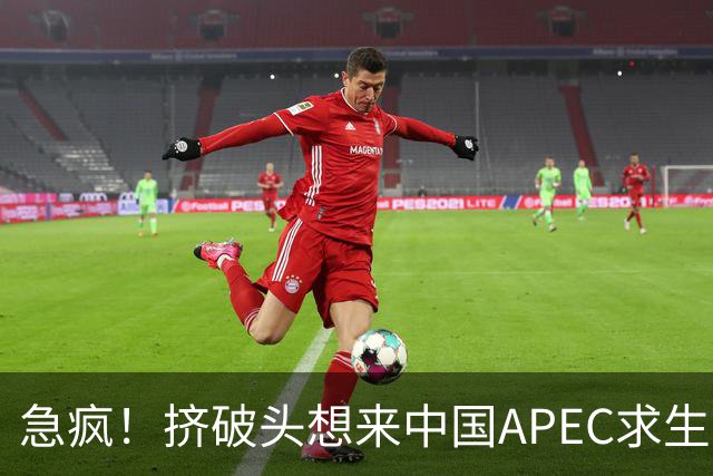 急疯！挤破头想来中国APEC求生，因国内清算打响，高市或锒铛入狱