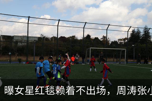 曝女星红毯赖着不出场，周涛张小斐无奈救场，晚宴全程无人搭理她