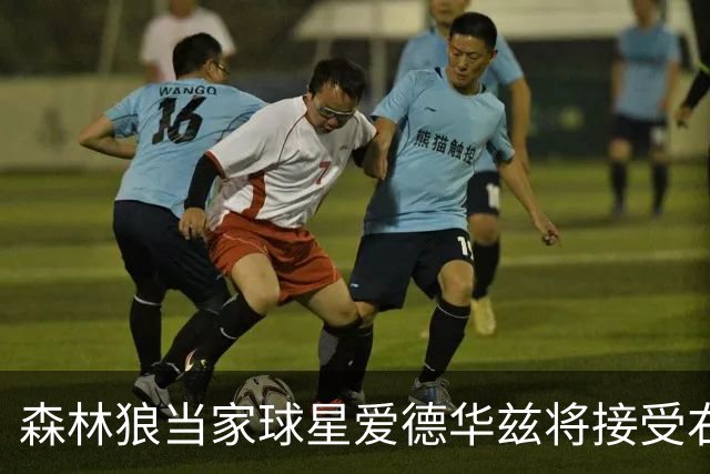 森林狼当家球星爱德华兹将接受右膝关节镜手术，预计伤停两个月，会对他的职业生涯有多大影响？球队阵容会如何调整？