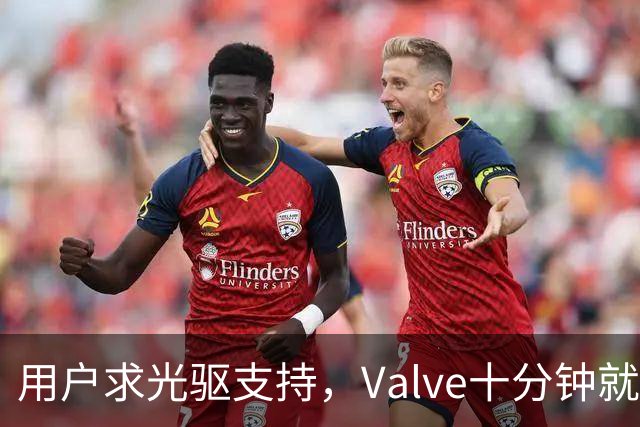 用户求光驱支持，Valve十分钟就加上了