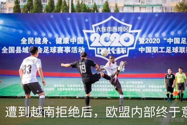 遭到越南拒绝后，欧盟内部终于意识到：什么叫 “中国力量”！