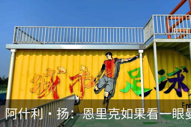阿什利·扬：恩里克如果看一眼曼联这个阵容，都不会想碰烂摊子